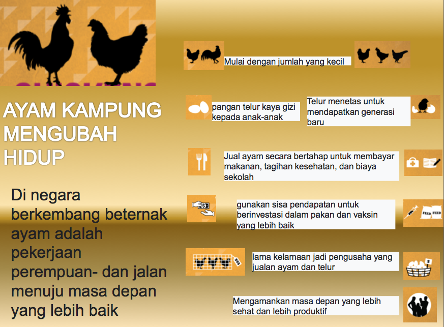 Afrofarm11